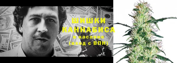 прущие грибы Горно-Алтайск