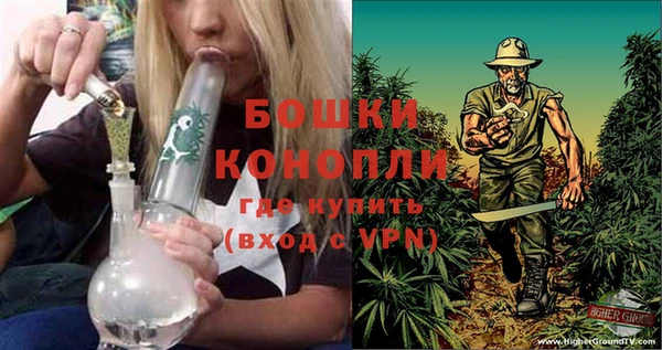 прущие грибы Горно-Алтайск