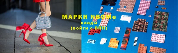 прущие грибы Горно-Алтайск