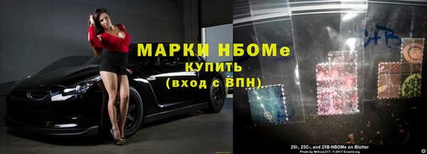 прущие грибы Горно-Алтайск
