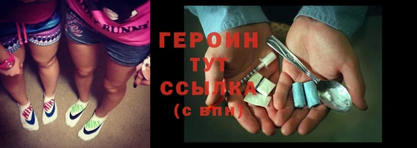 прущие грибы Горно-Алтайск
