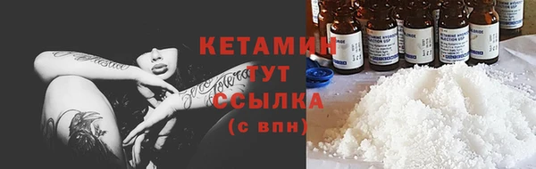 прущие грибы Горно-Алтайск