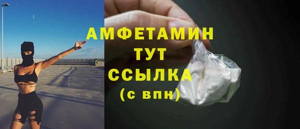 мдпв Горняк