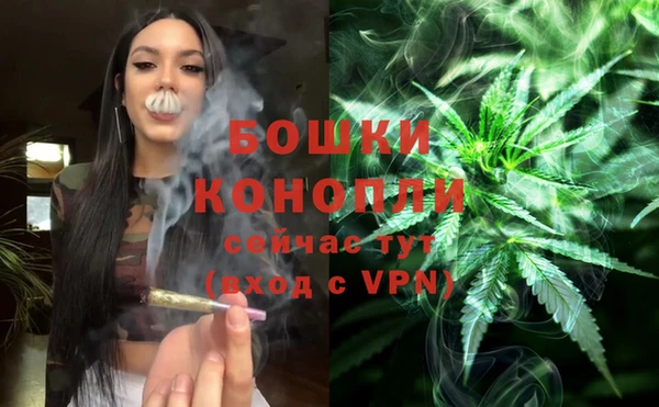 мдпв Горняк