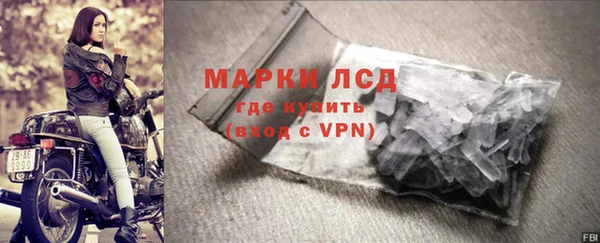 прущие грибы Горно-Алтайск