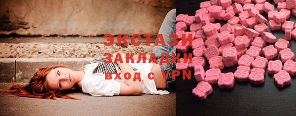 прущие грибы Горно-Алтайск