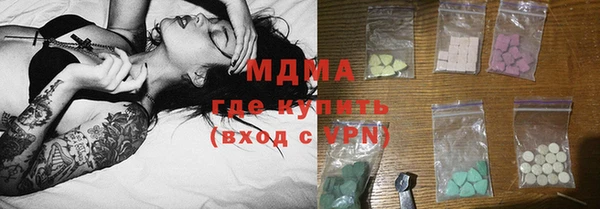 прущие грибы Горно-Алтайск