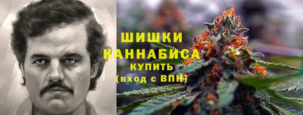 прущие грибы Горно-Алтайск
