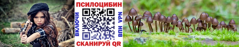 Купить закладки  Ладушкин  Псилоцибиновые грибы GOLDEN TEACHER 